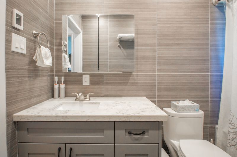 Mirrored Medicine Cabinets